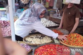 Babel tambah stok gula pasir 240,5 ton