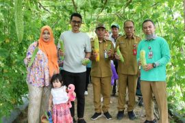 Bupati Banjar dorong pemanfaatan pekarangan jadi kebun keluarga