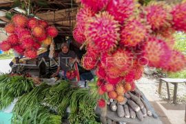 Realisasi pembiayaan ultramikro di Jambi