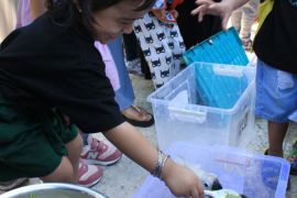 BKSDA Maluku tumbuhkan peduli konservasi satwa pada anak usia dini