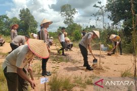 Polres Bangka Barat tanam bibit buah di lahan bekas tambang