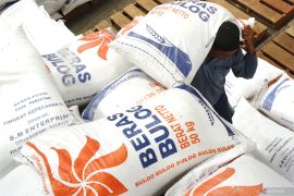 Bulog pastikan kualitas stok beras nasional 3,9 juta ton tetap terjaga