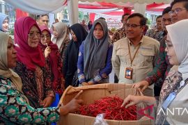 Pemkot Jambi perbanyak gerakan pangan murah kendalikan inflasi