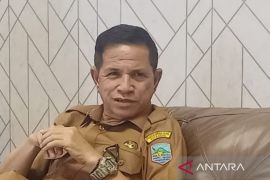 Pemkab Kotabaru rancang mall pelayanan publik