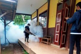 Dinas Kesehatan Situbondo catat kasus DBD menurun di awal tahun