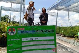 Persemaian Mentawir  di IKN siapkan 2,5 juta bibit gratis