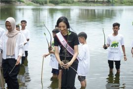 Sophie Kirana pelopor konservasi mangrove dan penyu