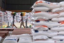 Bulog Bali serap gabah lokal setara 2.900 ton beras hingga Agustus