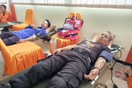 Basarnas Ternate donor 26 kantong darah