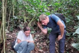 Bunga rafflesia Arnoldii mekar di Batang Palupuh Agam dikunjungi wisatawan mancanegara