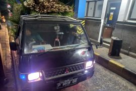 Pasokan Janur ke Bali meningkat menjelang Hari Raya Galungan