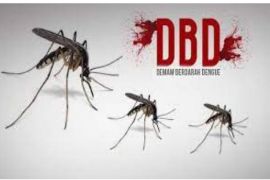 RSUD Mimika tangani 209 kasus DBD dari Januari hingga Maret