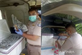 Balai Karantina Kalsel periksa 392 ekor lobster tujuan Jakarta