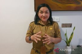 Pemprov Papua imbau peternak babi menjaga kualitas pakan