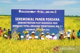 Bengkulu antisipasi kenaikan harga tiga komoditas jelang Ramadhan