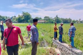 Pemkab Situbondo rangkul warga jadi PPS bantu PPL dampingi petani