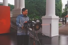 Pemerintah usul kenaikan dana peremajaan sawit jadi Rp60 juta/hektare