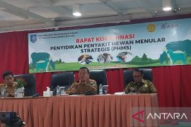 Babel temukan ratusan sapi terserang LSD