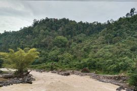 Sumsel pacu energi terbarukan kurangi ketergantungan ke fosil