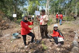 Ponpes Al Islam Kambitin wujudkan Eco Pesantren melalui Arboretum Bambu.