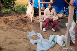 Pemkab Aceh Barat data kerusakan akibat amukan gajah