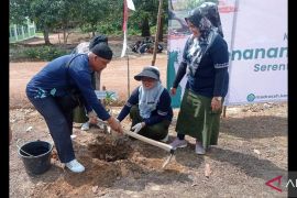 MAN IC Bangka Tengah gelar penanaman dan pemeliharaan pohon serentak
