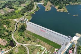 42 dams built in 2015--2023 for food security: govt
