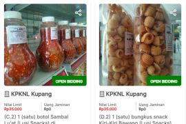 DJKN Bali Nusra ajak pelaku UMKM di NTT manfaatkan layanan lelang