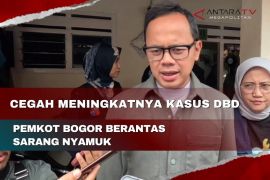 Cegah meningkatnya kasus DBD Pemkot Bogor berantas sarang nyamuk