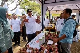 Petani di Lhokseumawe jual langsung panenan di Pasar Tani Raya