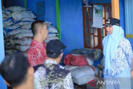 Pemkab Nagan Raya terima alokasi 2.758 ton pupuk bersubsidi di 2024