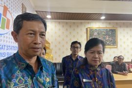 BPS: Kabupaten lumbung padinya Bali, harga beras tertinggi
