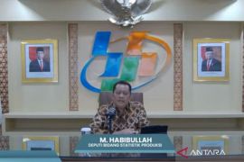 BPS catat produksi beras nasional turun 440 ribu ton