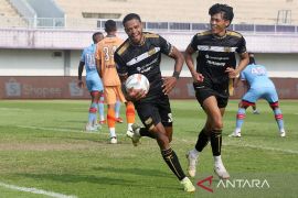 Dewa United kembali gunakan jasa Alex Martins untuk Liga 1 2024/25
