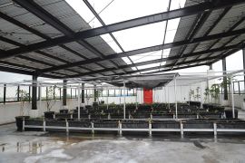 Rusun Kedaung Tangerang dilengkapi pertanian perkotaan bagi penghuni