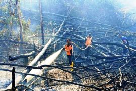 BMKG temukan 95 titik panas tersebar di Kalimantan Timur