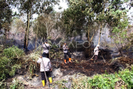 Kebakaran lahan semakin meluas di Dumai Page 1 Small