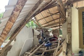 Getaran gempa di Bogor timbul akibat aktivitas sesar lokal darat