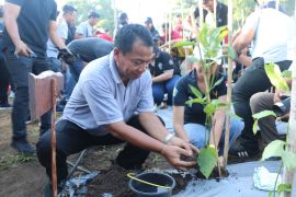 Pemkab Buleleng ubah lahan bersemak jadi kebun cabai