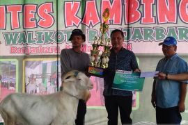 "Ferguso" juara favorit kontes Kambing Piala Wali Kota Banjarbaru