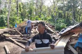 Gajah liar rusak kawasan wisata di Bandar Negeri Suoh