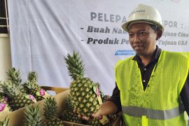 Manfaat cuka nanas untuk kesehatan tubuh dan efek sampingnya