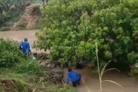 Hengki tenggelam saat berenang di Sungai Way Galih Candipuro