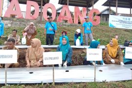 PKK Kepulauan Selayar tanam cabai sukseskan program ketahanan pangan