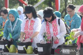 TP PKK Bogor imbau warga tanam cabai di pekarangan rumah