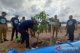 Balai Wilayah Sungai Babel tanam 500 pohon di bekas tambang