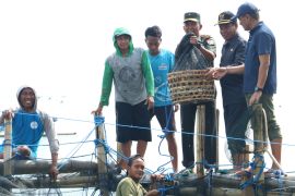 Bupati Buleleng panen ikan di keramba, contoh ketahanan pangan