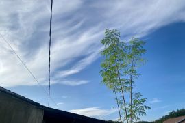 Seluruh wilayah Kalsel diprediksi berawan Jumat pagi