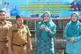 HSS PKK plants hundreds of chili seeds on PKK Unity Day