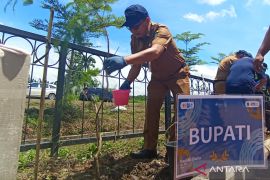 Pemkab Tapin capai swasembada beras mampu dukung pangan IKN